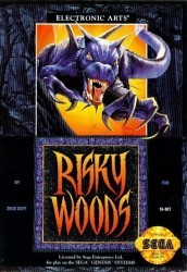 Risky Woods Rom